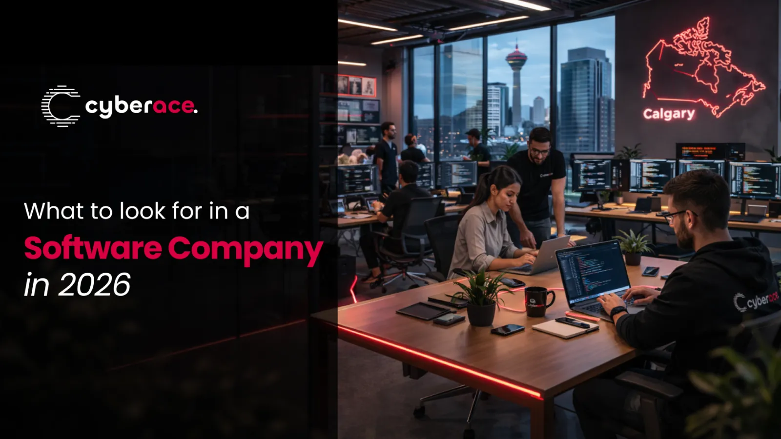 What to Look for in a Software Company 2026